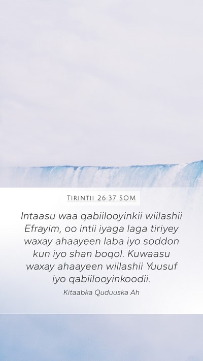 Tirintii 26:37 SOM Bible Verse Image