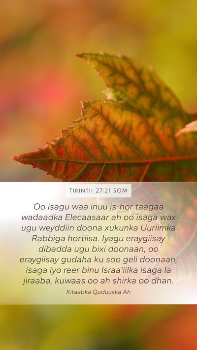 Tirintii 27:21 SOM Bible Verse Image