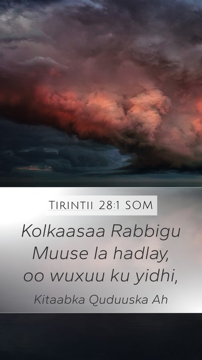 Tirintii 28:1 SOM Mobile Phone Wallpaper - Kolkaasaa Rabbigu Muuse la hadlay, oo wuxuu ku - Mobile Bible Verse Wallpaper