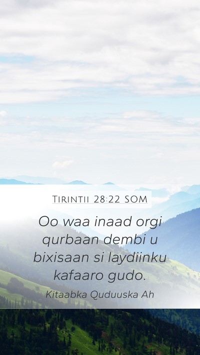 Tirintii 28:22 SOM Mobile Phone Wallpaper - Oo waa inaad orgi qurbaan dembi u bixisaan si - Mobile Bible Verse Wallpaper