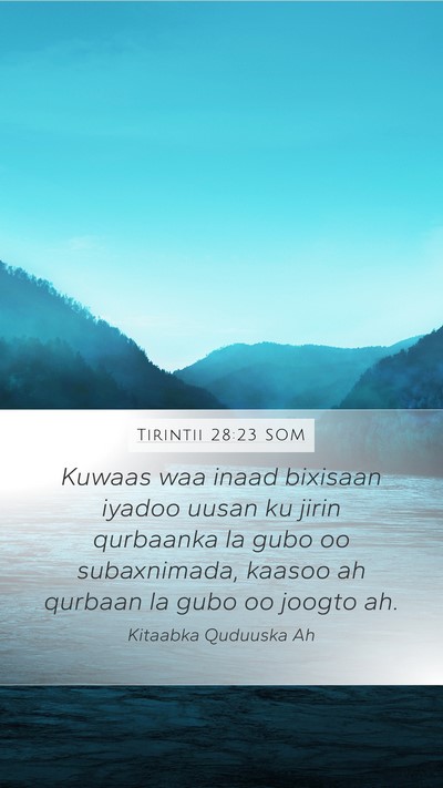 Tirintii 28:23 SOM Bible Verse Image