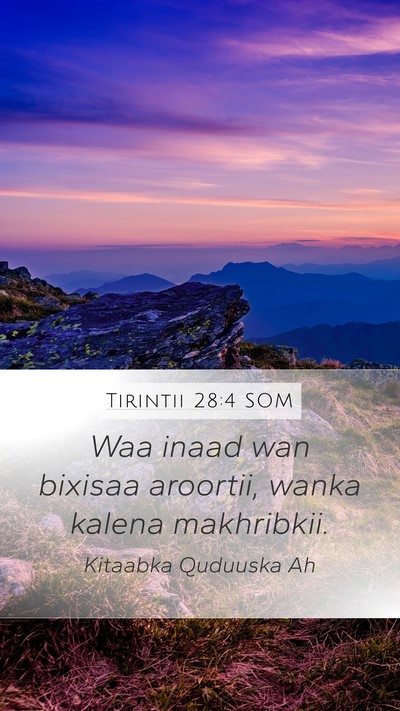 Tirintii 28:4 SOM Mobile Phone Wallpaper - Waa inaad wan bixisaa aroortii, wanka kalena - Mobile Bible Verse Wallpaper