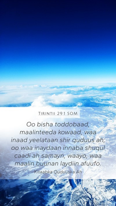 Tirintii 29:1 SOM Bible Verse Image