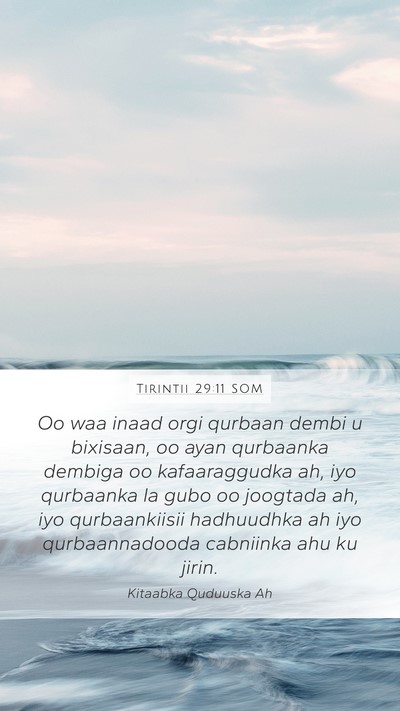 Tirintii 29:11 SOM Bible Verse Image