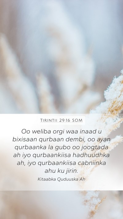Tirintii 29:16 SOM Bible Verse Image