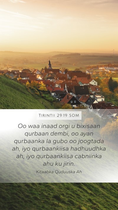 Tirintii 29:19 SOM Bible Verse Image