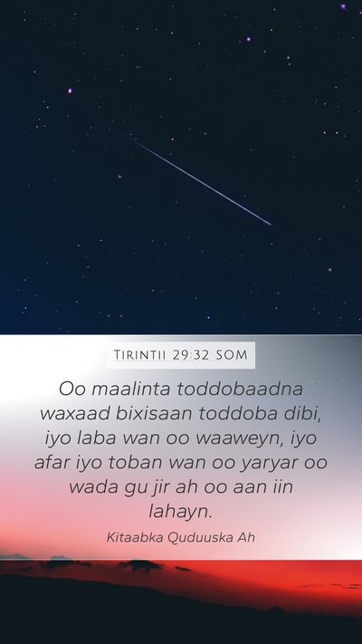 Tirintii 29:32 SOM Bible Verse Image