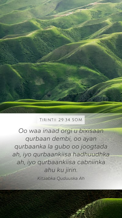 Tirintii 29:34 SOM Bible Verse Image
