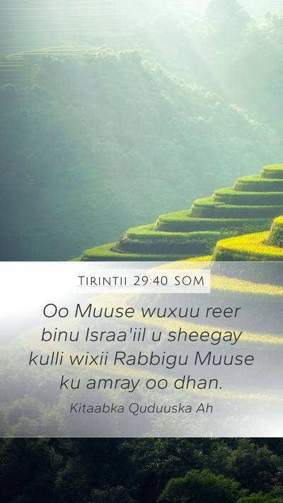 Tirintii 29:40 SOM Mobile Phone Wallpaper - Oo Muuse wuxuu reer binu Israa'iil u sheegay - Mobile Bible Verse Wallpaper