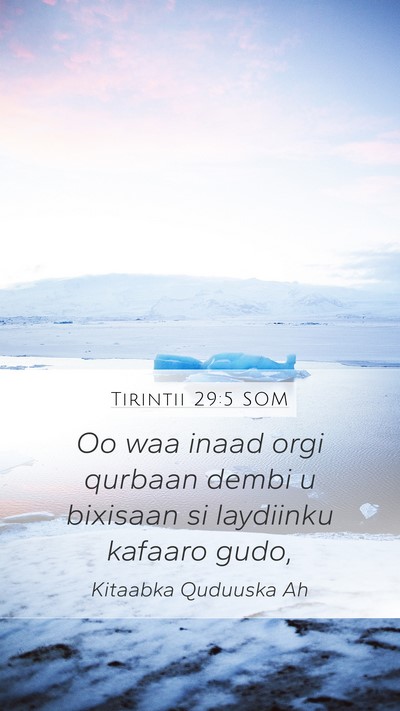 Tirintii 29:5 SOM Mobile Phone Wallpaper - Oo waa inaad orgi qurbaan dembi u bixisaan si - Mobile Bible Verse Wallpaper