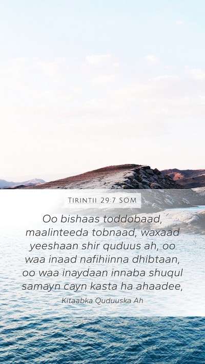 Tirintii 29:7 SOM Bible Verse Image