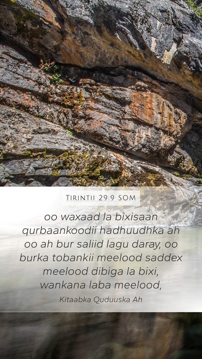 Tirintii 29:9 SOM Mobile Phone Wallpaper - oo waxaad la bixisaan qurbaankoodii hadhuudhka ah - Mobile Bible Verse Wallpaper