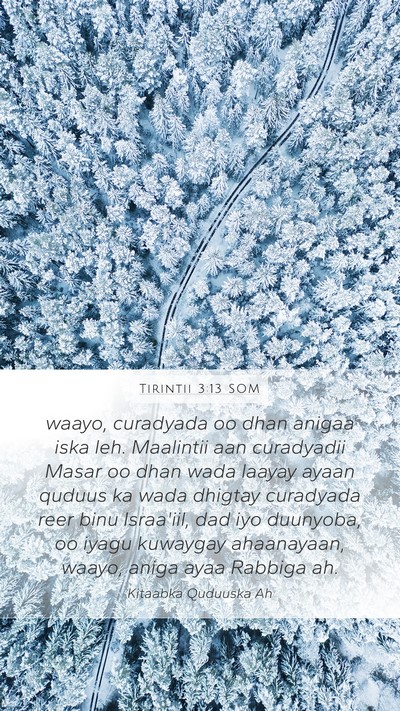 Tirintii 3:13 SOM Mobile Phone Wallpaper - waayo, curadyada oo dhan anigaa iska leh. - Mobile Bible Verse Wallpaper