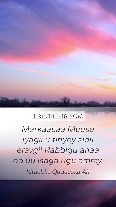 Tirintii 3:16 SOM Bible Verse Image