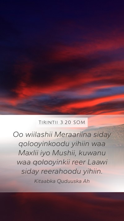 Tirintii 3:20 SOM Bible Verse Image