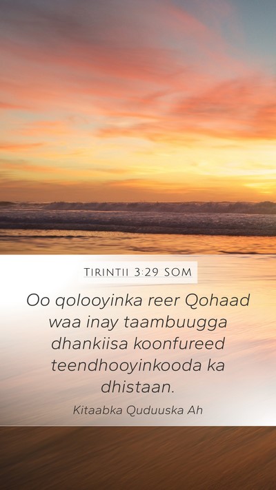 Tirintii 3:29 SOM Bible Verse Image