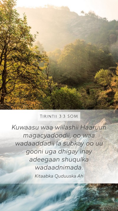 Tirintii 3:3 SOM Mobile Phone Wallpaper - Kuwaasu waa wiilashii Haaruun magacyadoodii, oo - Mobile Bible Verse Wallpaper