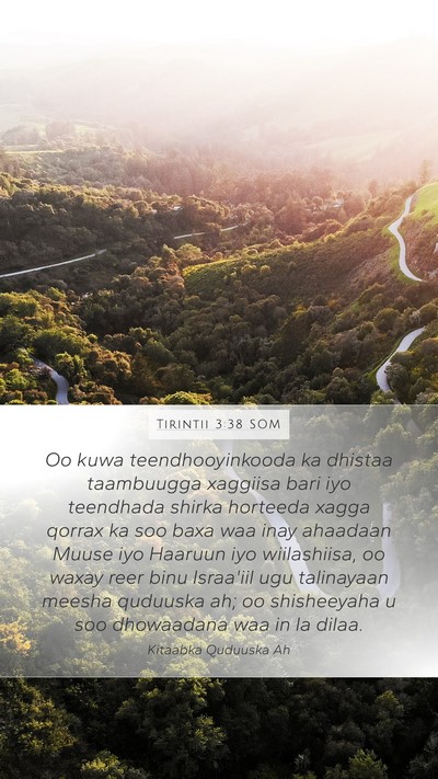 Tirintii 3:38 SOM Bible Verse Image