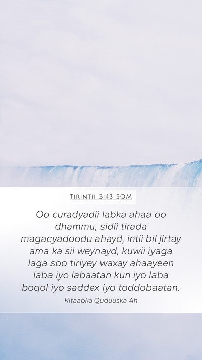 Tirintii 3:43 SOM Mobile Phone Wallpaper - Oo curadyadii labka ahaa oo dhammu, sidii tirada - Mobile Bible Verse Wallpaper