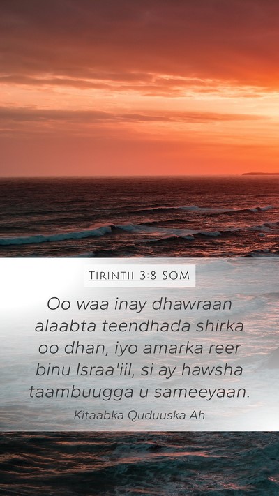 Tirintii 3:8 SOM Bible Verse Image
