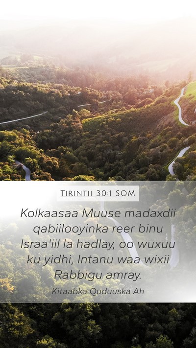 Tirintii 30:1 SOM Bible Verse Image
