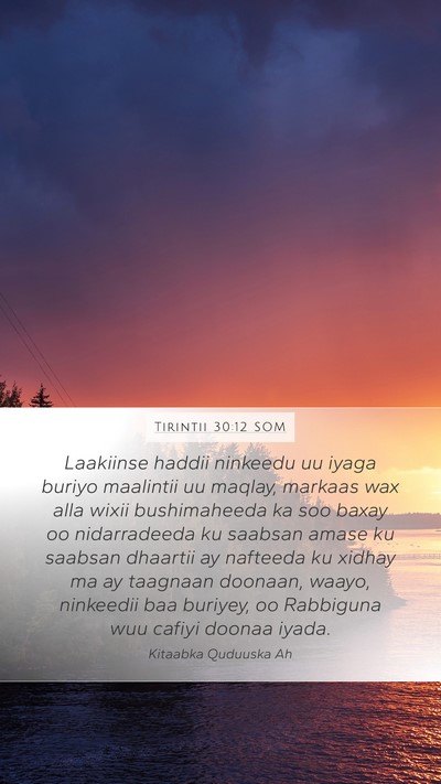Tirintii 30:12 SOM Mobile Phone Wallpaper - Laakiinse haddii ninkeedu uu iyaga buriyo - Mobile Bible Verse Wallpaper