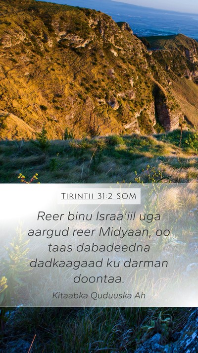 Tirintii 31:2 SOM Bible Verse Image
