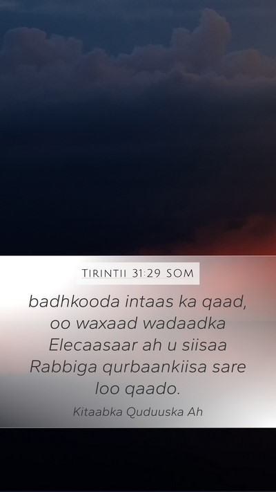 Tirintii 31:29 SOM Bible Verse Image