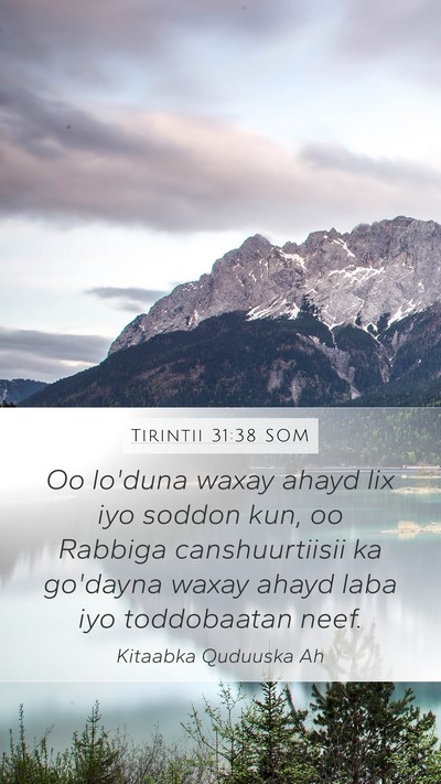 Tirintii 31:38 SOM Mobile Phone Wallpaper - Oo lo'duna waxay ahayd lix iyo soddon kun, oo - Mobile Bible Verse Wallpaper