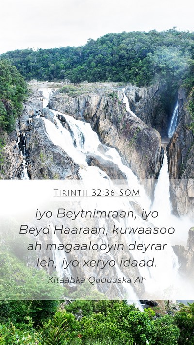 Tirintii 32:36 SOM Bible Verse Image