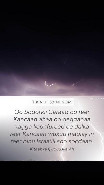 Tirintii 33:40 SOM Bible Verse Image