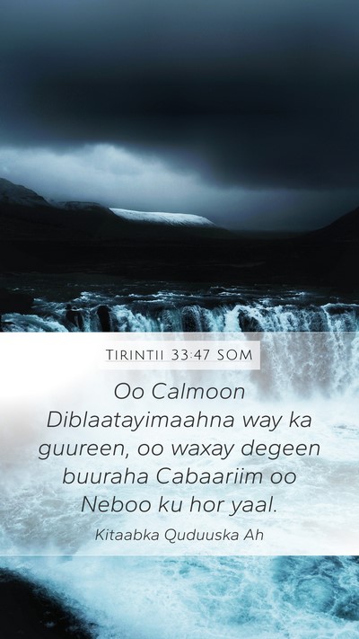 Tirintii 33:47 SOM Bible Verse Image