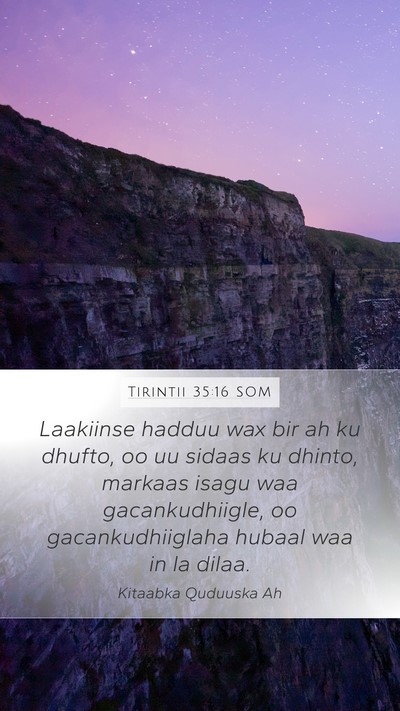 Tirintii 35:16 SOM Bible Verse Image