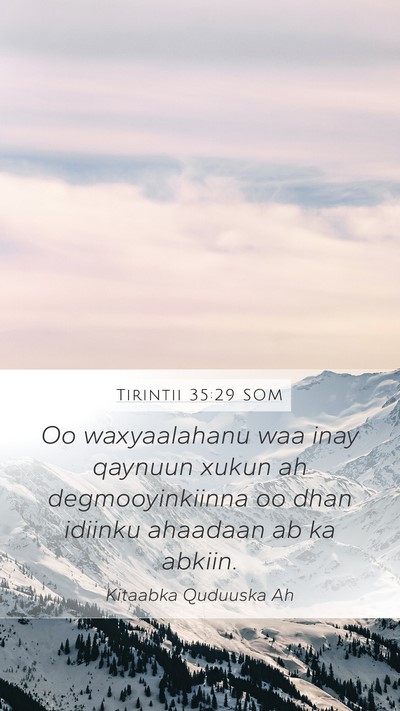 Tirintii 35:29 SOM Bible Verse Image