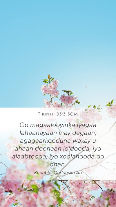 Tirintii 35:3 SOM Bible Verse Image