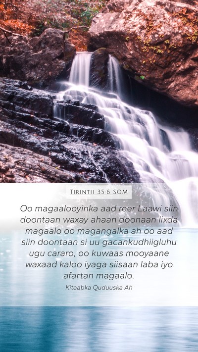 Tirintii 35:6 SOM Bible Verse Image