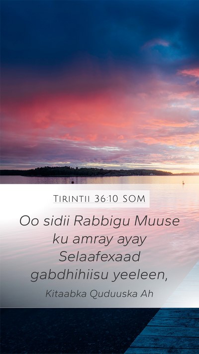 Tirintii 36:10 SOM Bible Verse Image