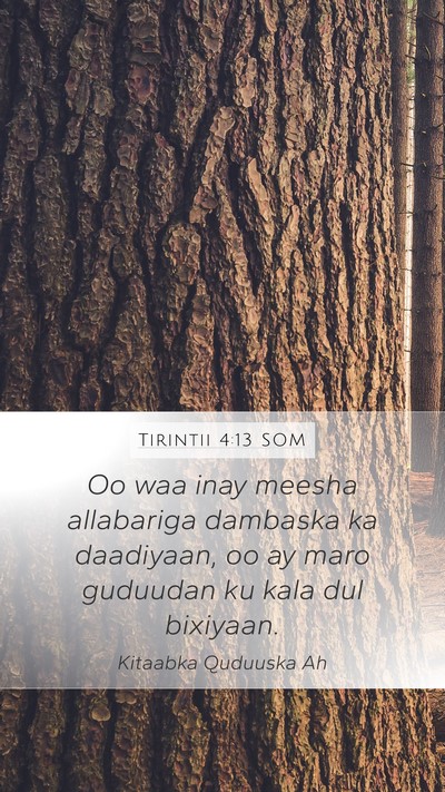Tirintii 4:13 SOM Mobile Phone Wallpaper - Oo waa inay meesha allabariga dambaska ka - Mobile Bible Verse Wallpaper