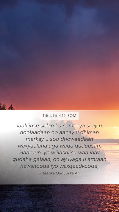 Tirintii 4:19 SOM Bible Verse Image