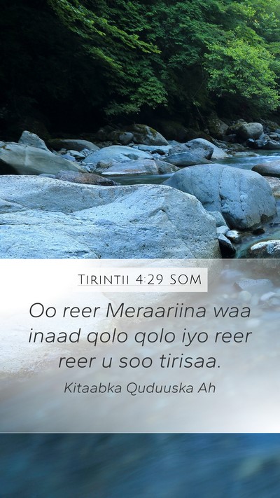 Tirintii 4:29 SOM Bible Verse Image