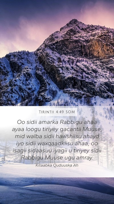 Tirintii 4:49 SOM Bible Verse Image