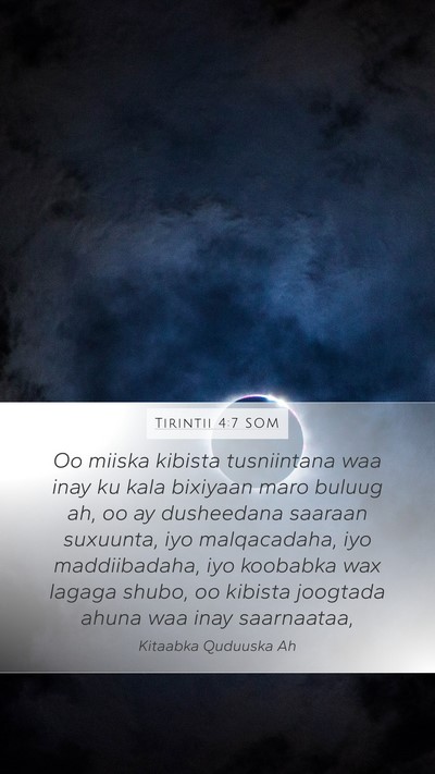 Tirintii 4:7 SOM Bible Verse Image