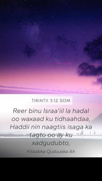 Tirintii 5:12 SOM Bible Verse Image