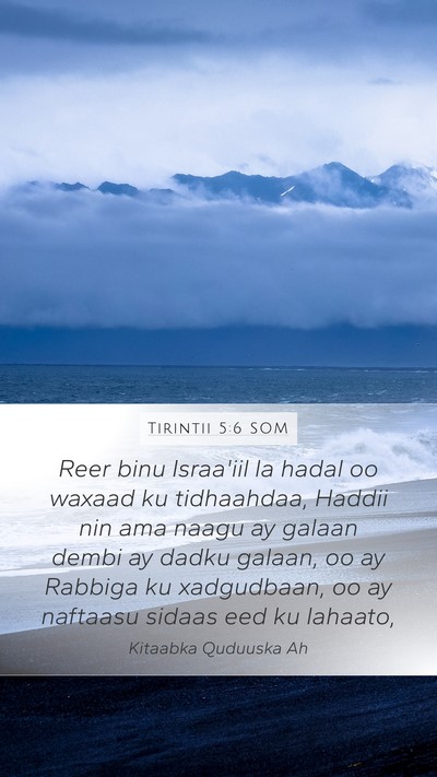 Tirintii 5:6 SOM Bible Verse Image