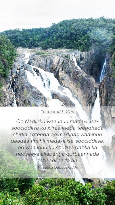 Tirintii 6:18 SOM Bible Verse Image