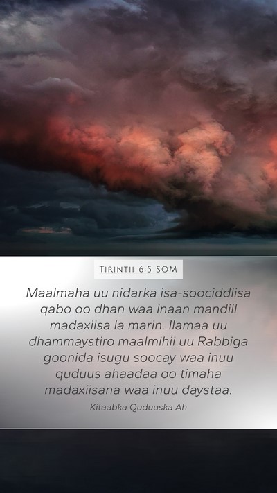 Tirintii 6:5 SOM Bible Verse Image