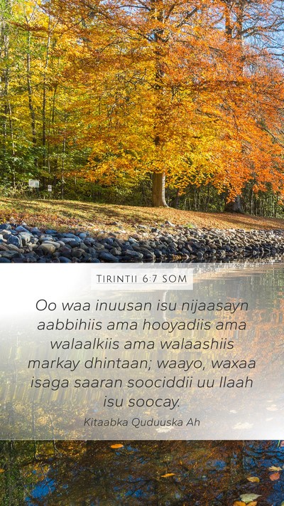Tirintii 6:7 SOM Bible Verse Image