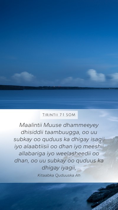 Tirintii 7:1 SOM Bible Verse Image