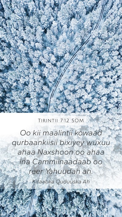 Tirintii 7:12 SOM Bible Verse Image