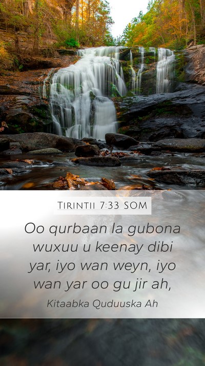 Tirintii 7:33 SOM Mobile Phone Wallpaper - Oo qurbaan la gubona wuxuu u keenay dibi yar, iyo - Mobile Bible Verse Wallpaper